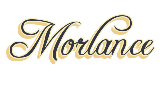 Shenzhen Morlance Electronic Co., Ltd
